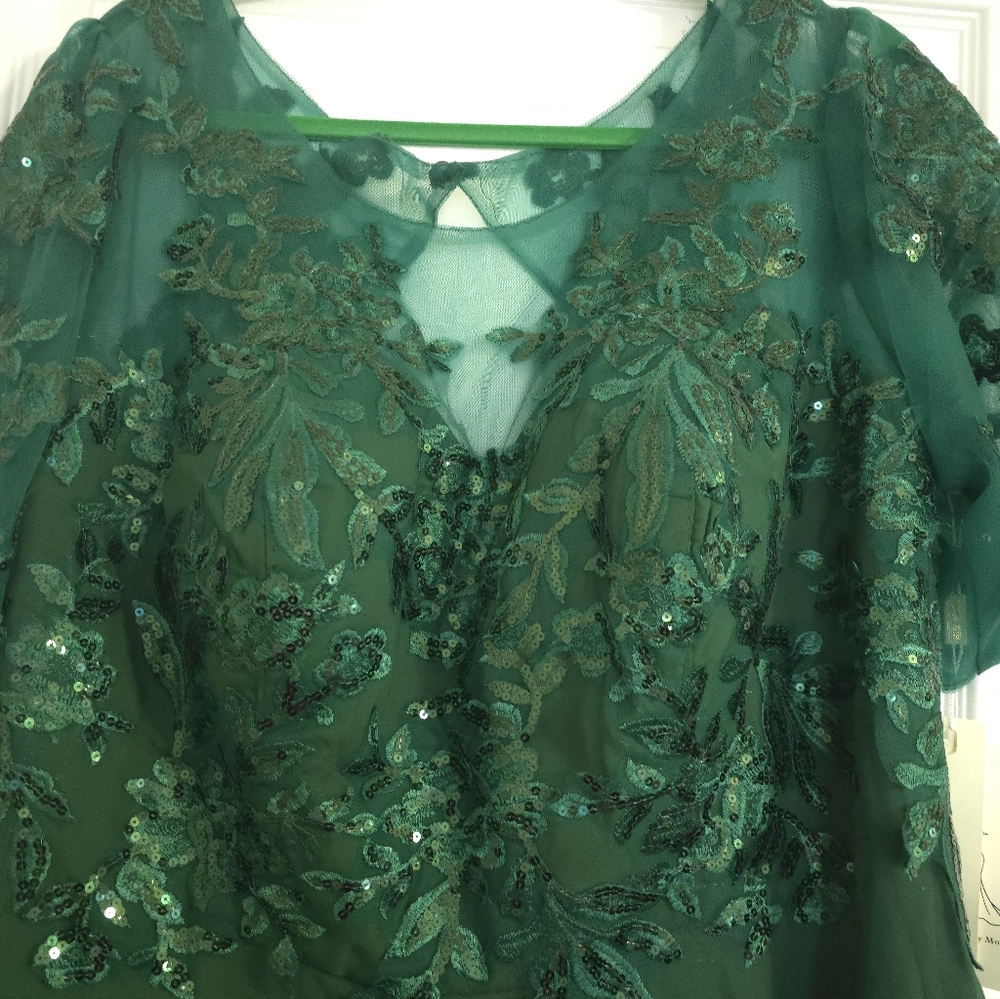 ⚡️ Elegant Green Lace Formal Weddind Style Corset Dress Fits Size 16